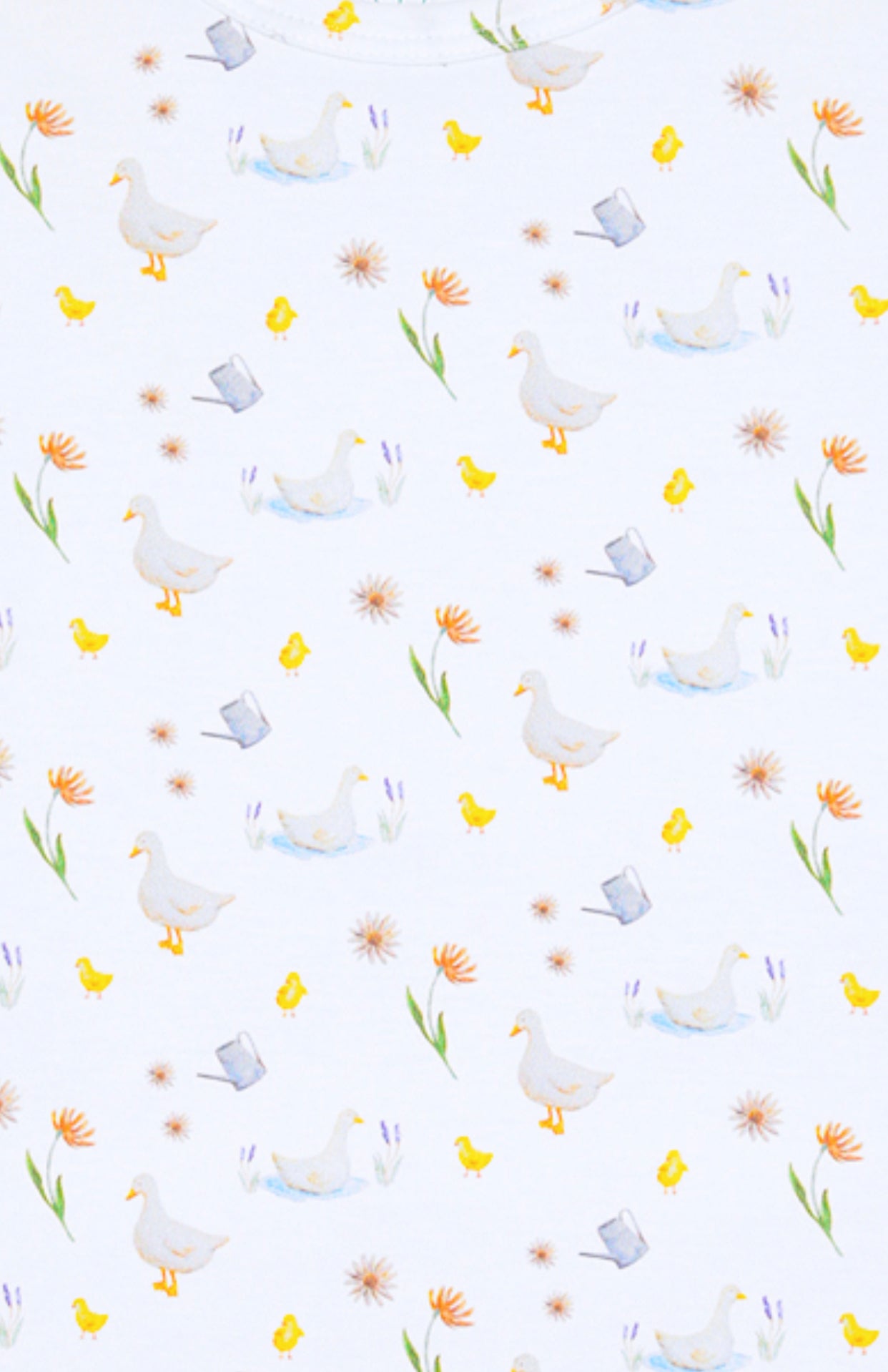 Ducks and Ducklings Baby Footed Pajama