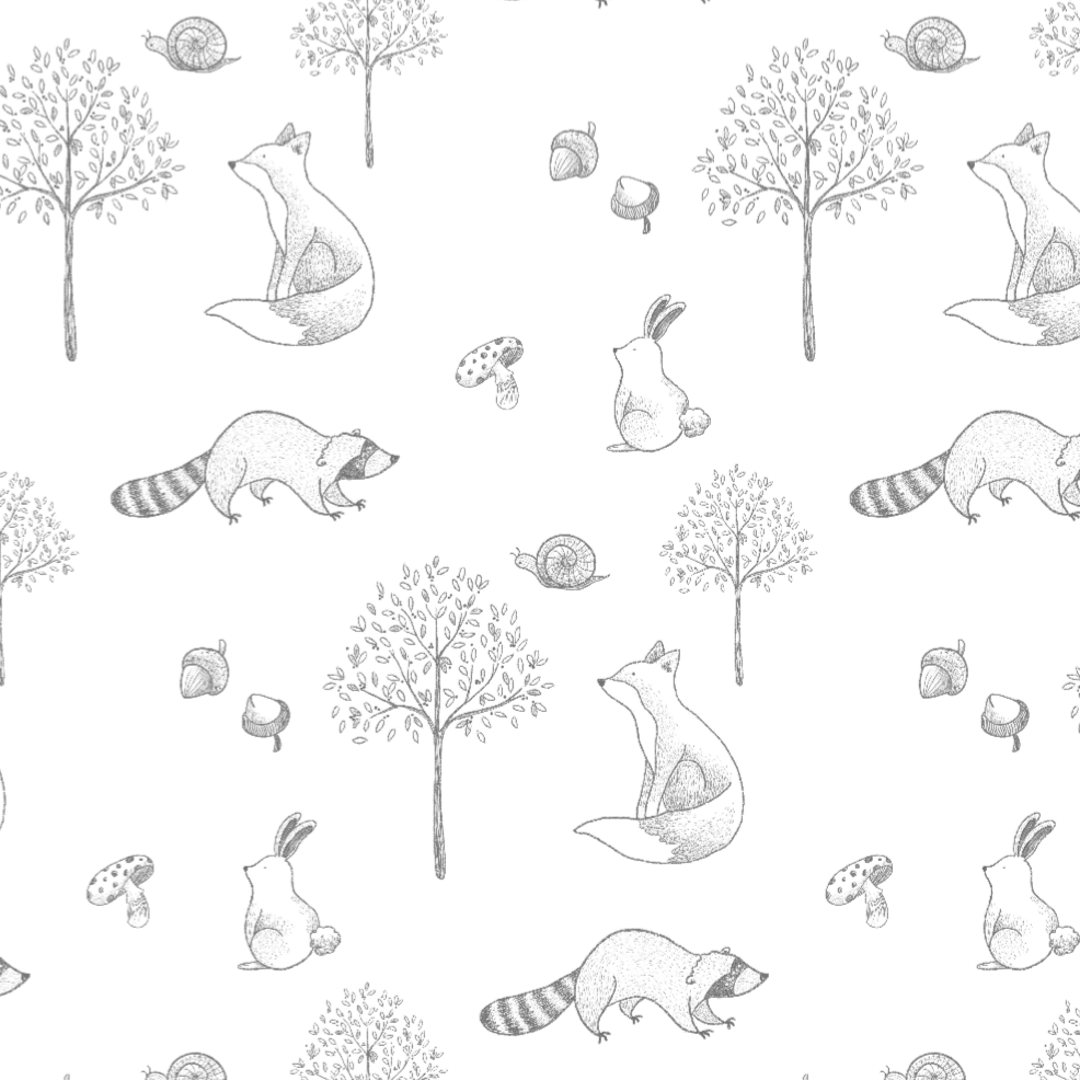 Gray Raccoon Pima Baby Blanket
