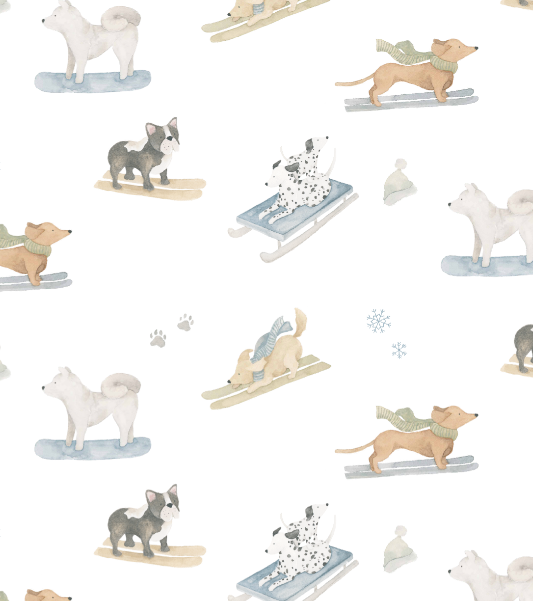 Ski Pups Boy Baby Pajama