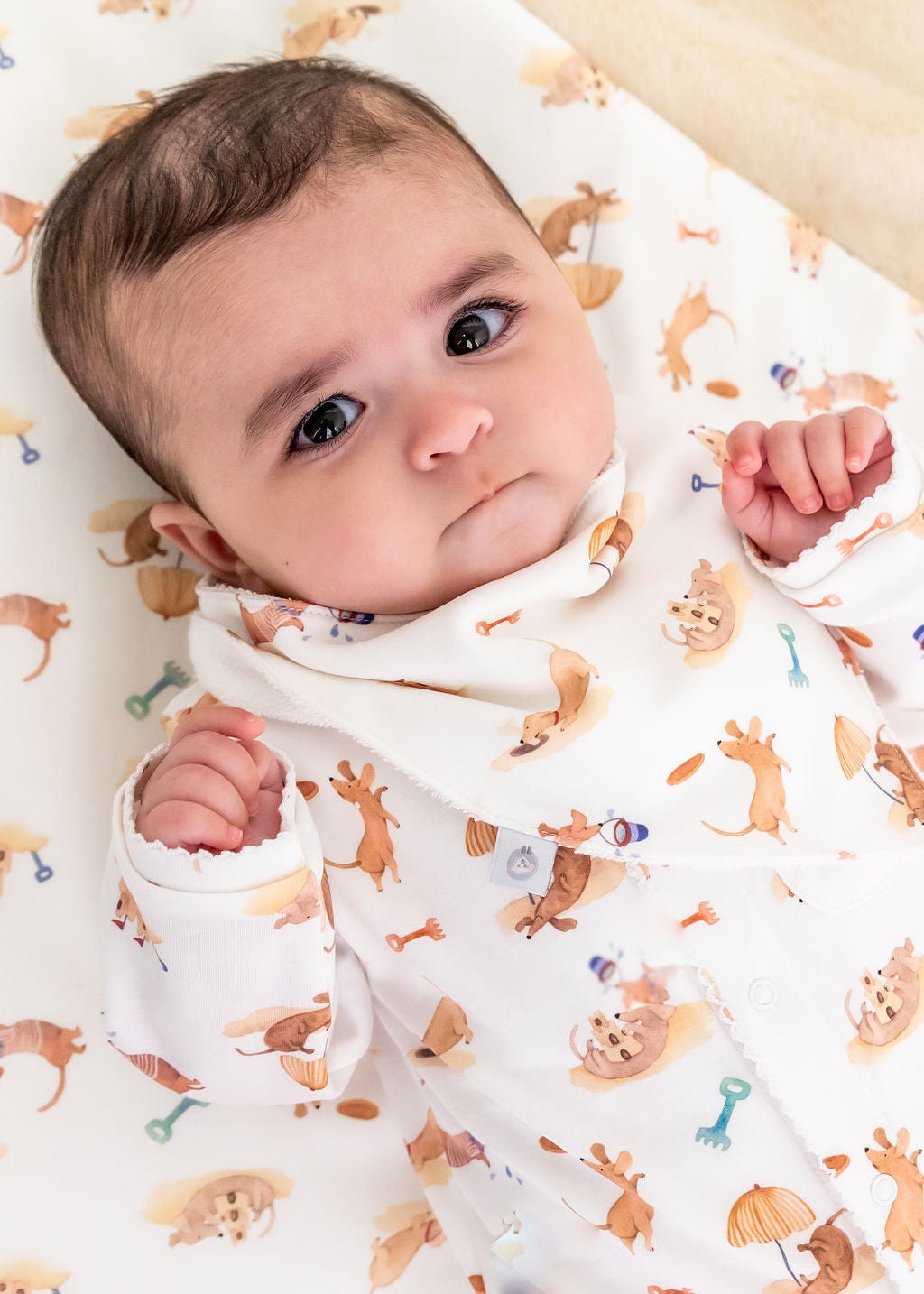 Beach Dogs Pima Cotton Baby Bib